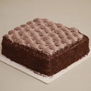 کیک مربع شکلاتی